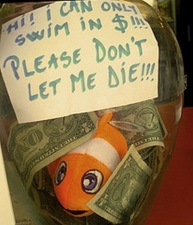 Save Nemo!